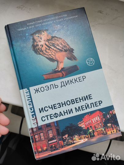 Исчезновение Стефани Мейлер