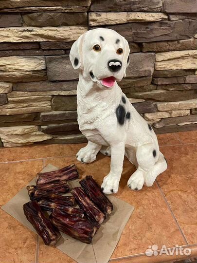 Сушёные лакомства для собак