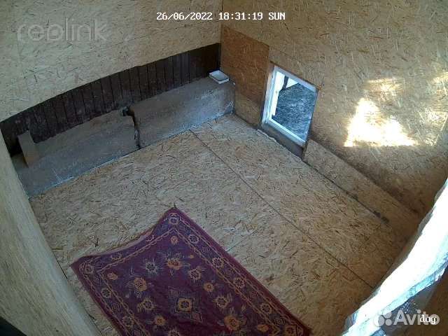 Передержка для собак