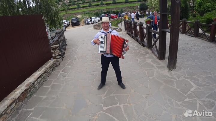 Аккордеонист Баянист Гармонист на праздники