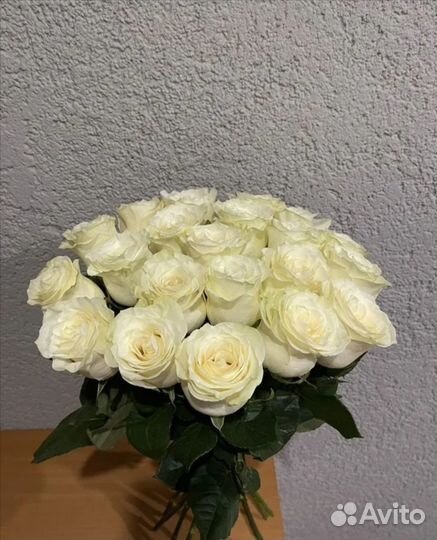 Розы эквадорские