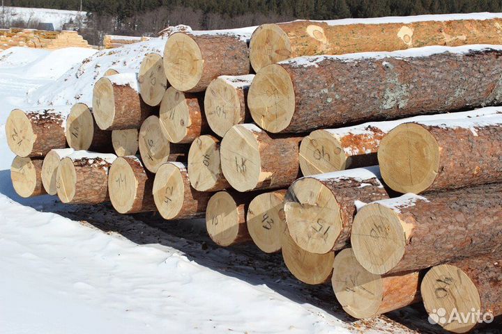 Рамщик, подрамщик (бригада)