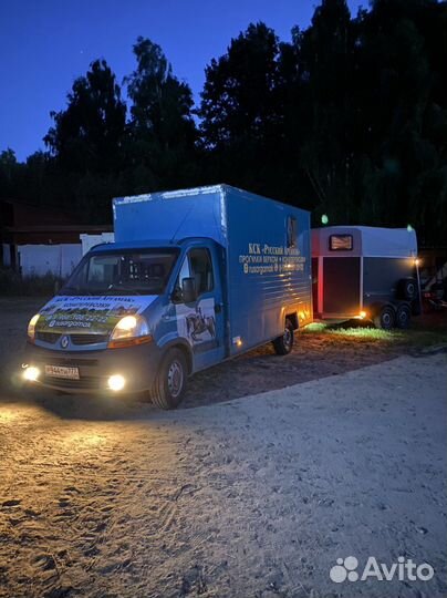 Конеперевозки 5 голов, коневоз, лошади, крс