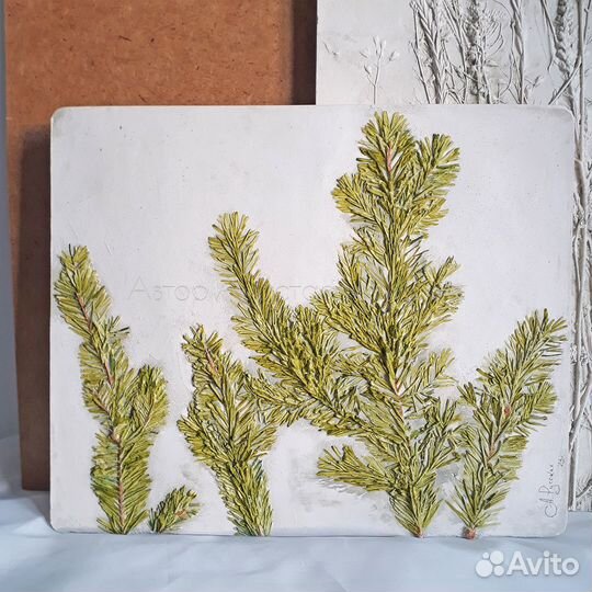 Ботанический барельеф 