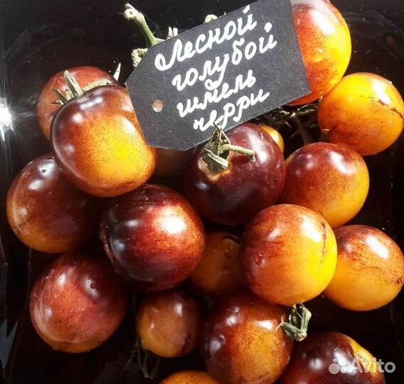 Продам семена помидор черри