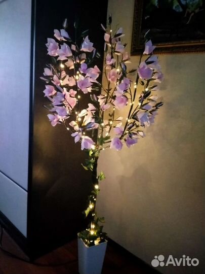 Магнолия-дерево