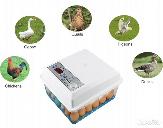 Инкубатор для яиц брудер машина 16-20