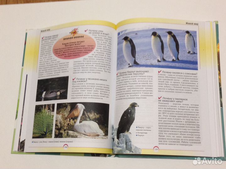 Детские книги энциклопедии