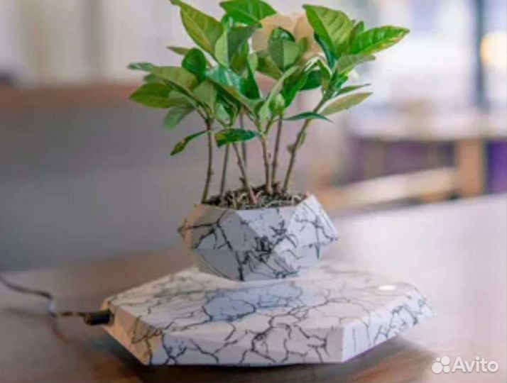 Левитирующий горшок