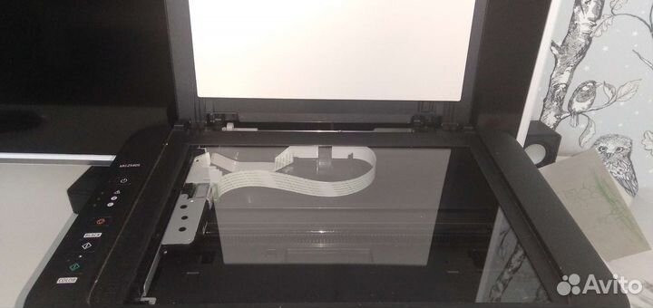 Мфу сканер принтер