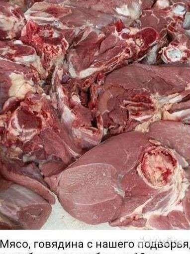 Мясо говядина, молоко, молочная продукция