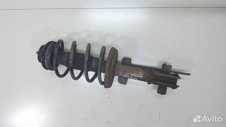 Амортизатор подвески Fiat Bravo, 2009