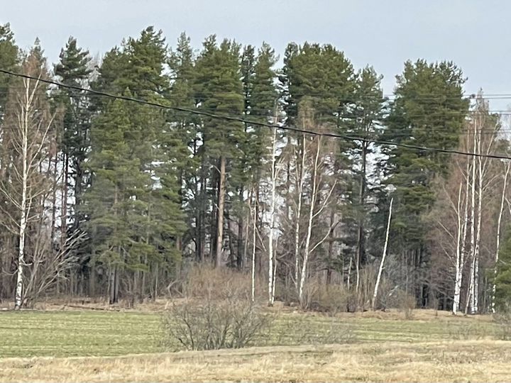 Участок 11,2 сот. (СНТ, ДНП)