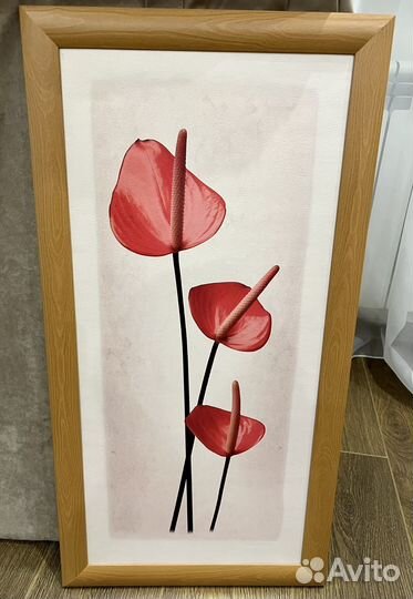 Картина каллы