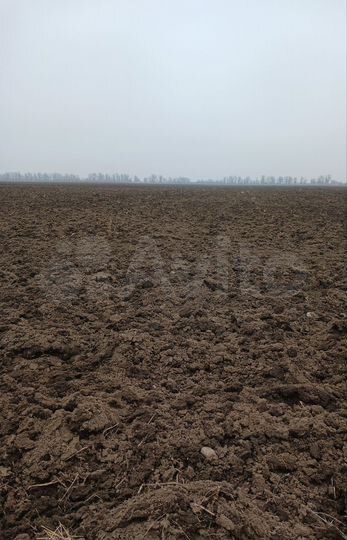 Участок 30 га (СНТ, ДНП)