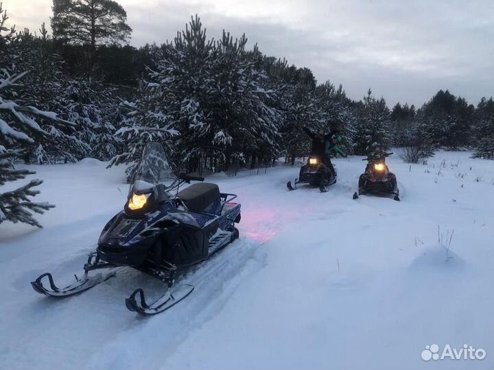 Снегоход на прокат
