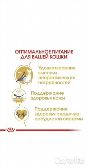 Сухой корм для кошек Royal Canin, для сфинксов