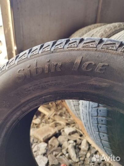 Matador MP 50 Sibir Ice 195/65 R15