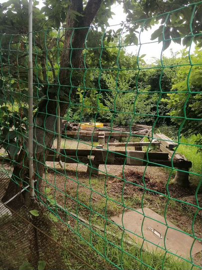 Участок 4 сот. (ИЖС)