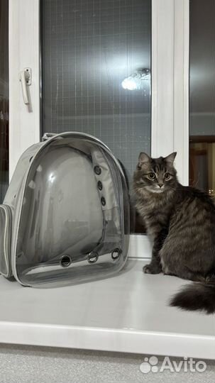 Рюкзак переноска для кошек