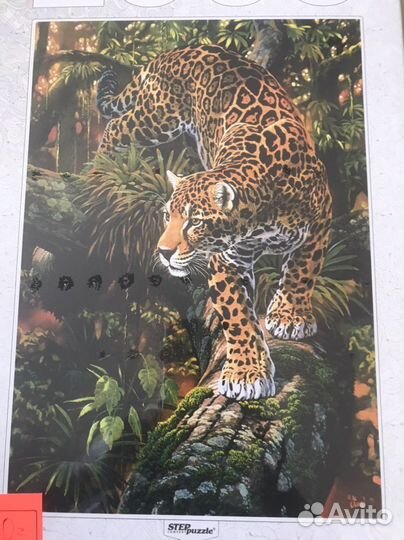 Пазлы в ассортименте