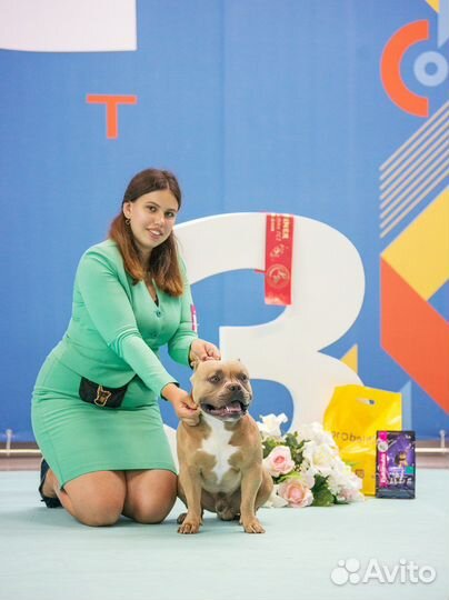 Хендлер, передержка