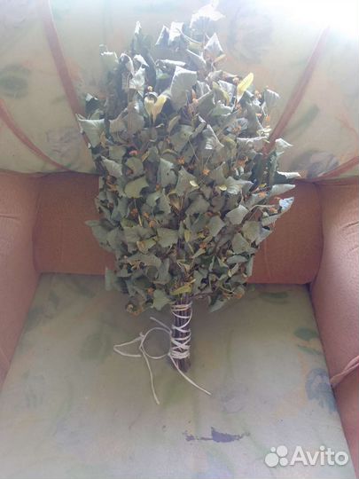 Веники для бани 2024