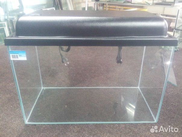 Аквариум с крышкой. Аквариумные рыбки. Растения