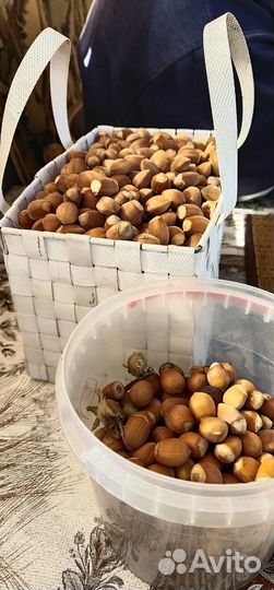 Саженцы малины, смородины, лещины