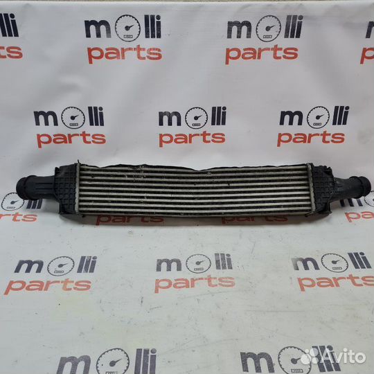 Интеркулер Audi A4 B9 2019