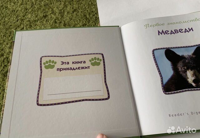 Катерин Лукас. Медведи. 2008