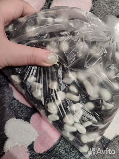 Аквариум 10л