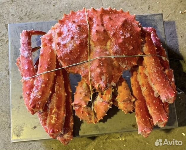 Краб Целый (Подарочный) (Большой Выбор Морепродукт