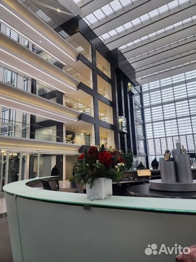 Нумеролог на корпоратив, свадьбу, девичник