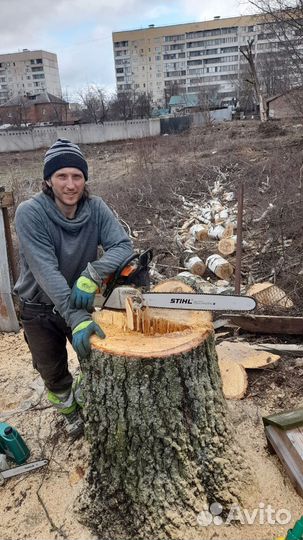 Спил, удаление деревьев. Расчистка участка