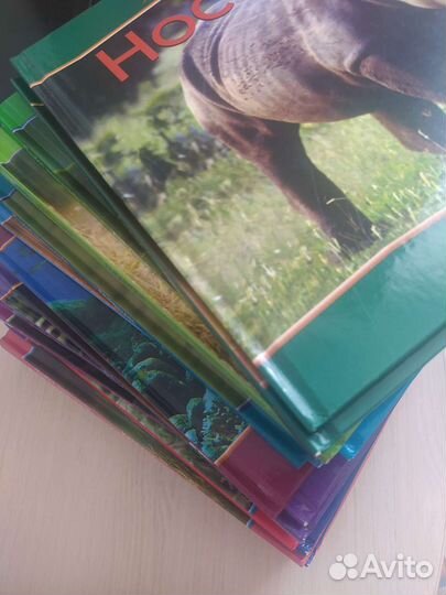 Детские книги. Тигры