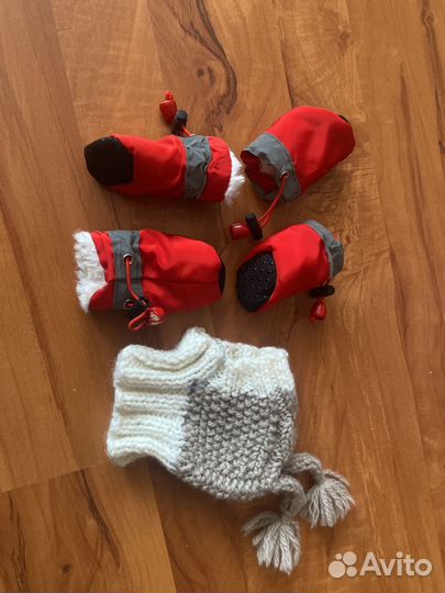 Одежда для собак мелких пород зима