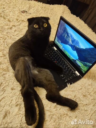 Ноутбук Эдика lenovo ThinkPad yoga 370