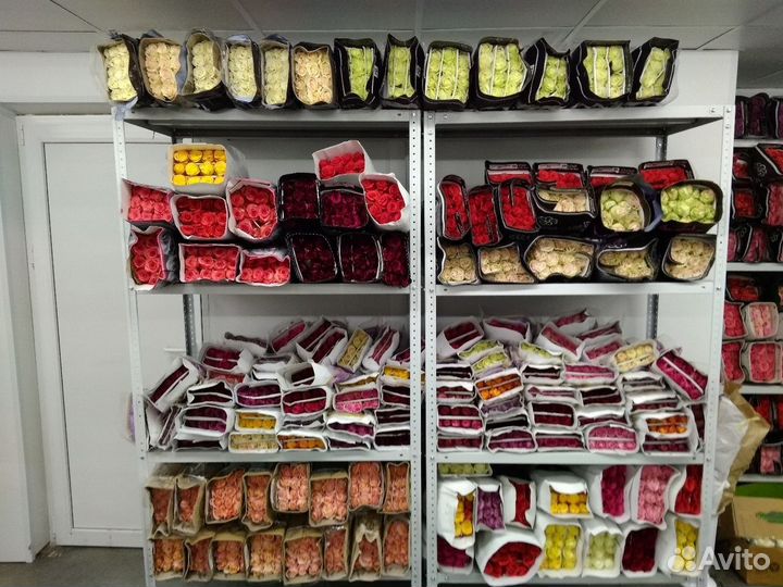 Розы букеты опт и розница