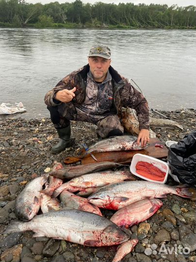 Рыбалка на Кижуча, Камчатка с 15.08. по 31 09.24 г