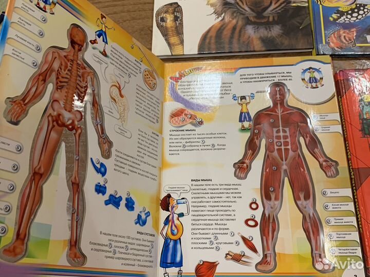 Энциклопедия для детей