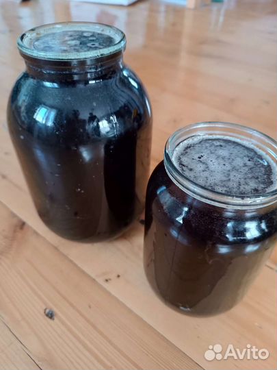 Мед гречишный 2023