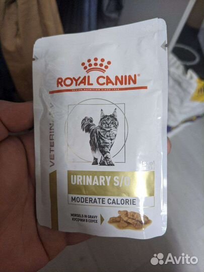 Влажный корм для кошек royal canin