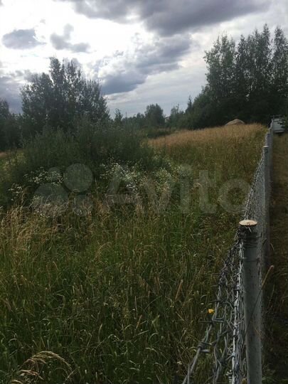 Участок 5,5 сот. (СНТ, ДНП)