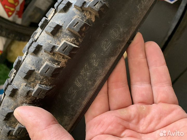 Покрышки kenda 29 regolit