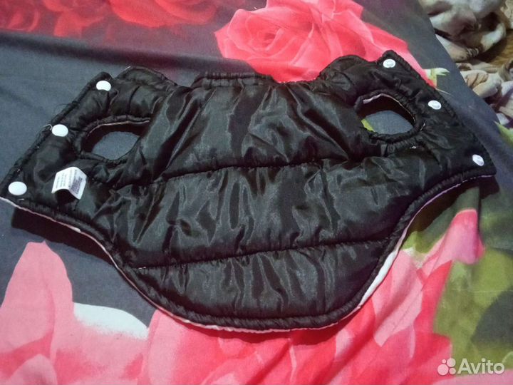 Костюм Чихуахуа/мини той терьер