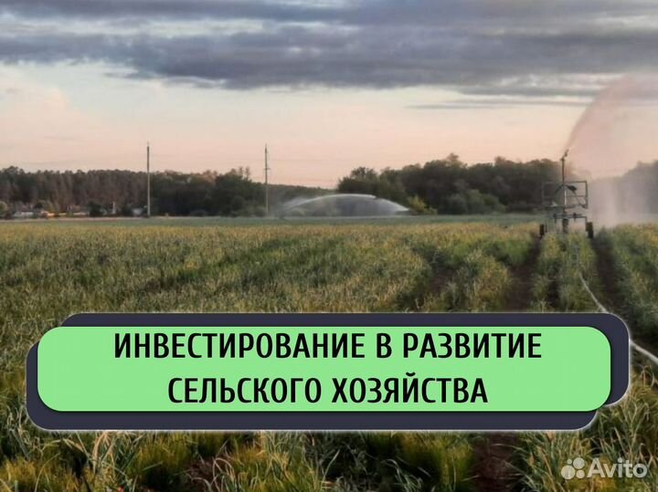 Инвестор в готовый бизнес / Поиск инвестора