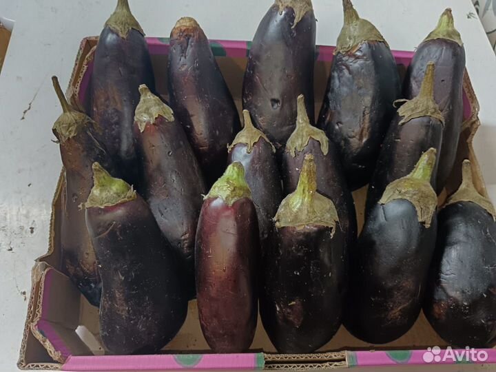 Пищевые отходы для животных