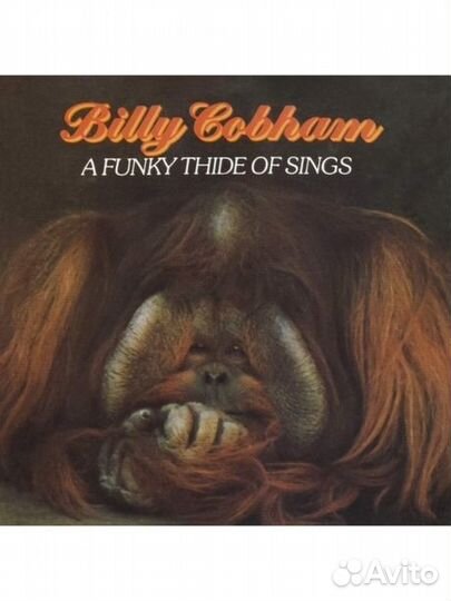 Billy cobham - A Funky Thide of Sings (CD)