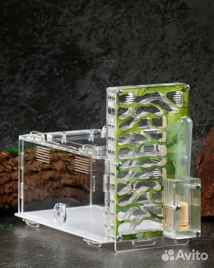 Вертикальная муравьиная ферма - 1 башня